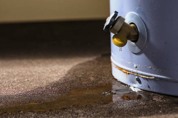 Best Water damage cleanup near me  in Farmington, PA