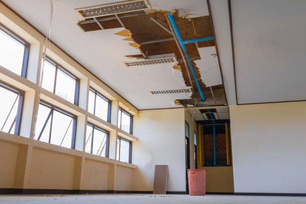 Best Mold removal after water damage  in Farmington, PA