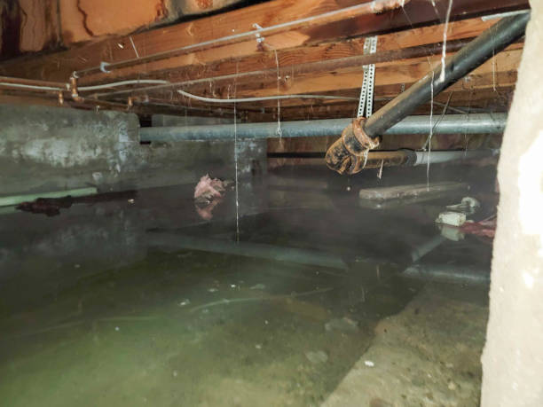 Best Flood damage cleanup  in Farmington, PA