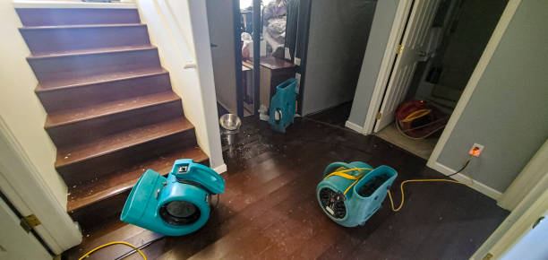 Best Fire Damage Restoration  in Farmington, PA