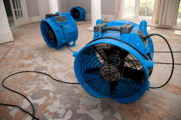 Best Basement water damage restoration  in Farmington, PA
