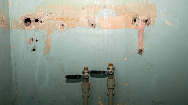 Best Flooded house restoration  in Farmington, PA