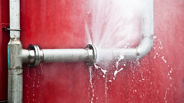 Best Water damage contractors near me  in Farmington, PA