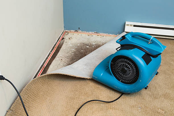 Best Water damage restoration near me  in Farmington, PA